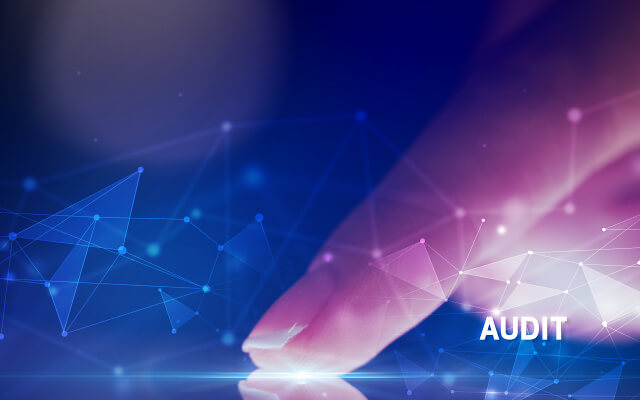 AdobeStock 367342263 ¦ Audit AdobeStock 367342263 ¦ Audit